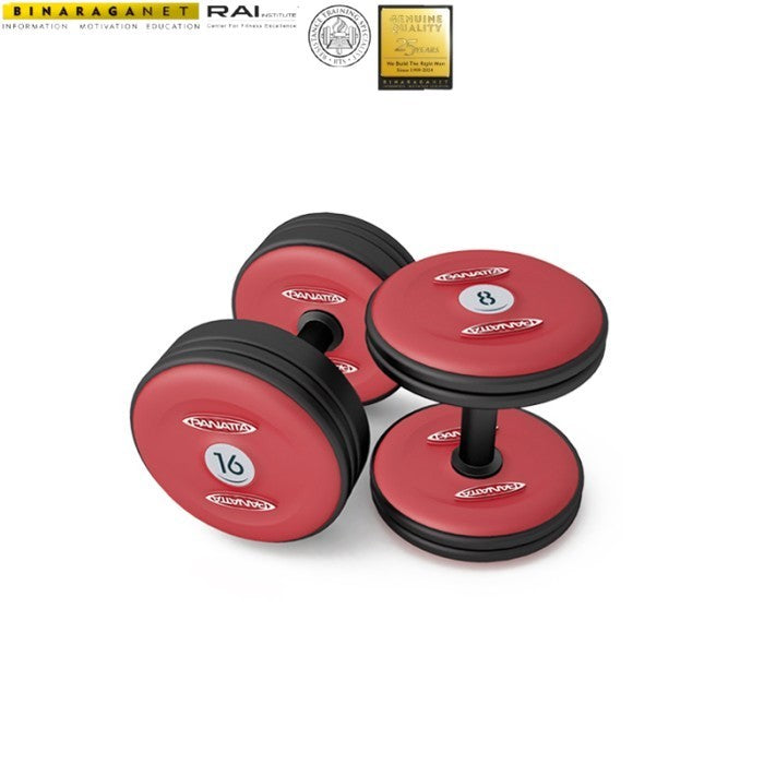 BINARAGANET 1 SET DUMBBELL PANATTA 4 - 30 KG