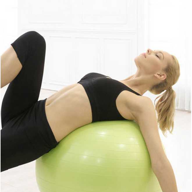Gym Ball Bola Yoga Pilates Fitness 55cm