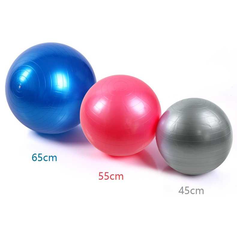 Gym Ball Bola Yoga Pilates Fitness 55cm