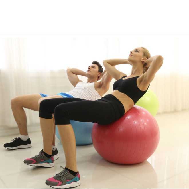 Gym Ball Bola Yoga Pilates Fitness 55cm