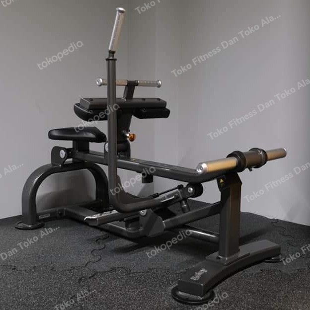 AnyFit T06 SEATED CALF RAISE