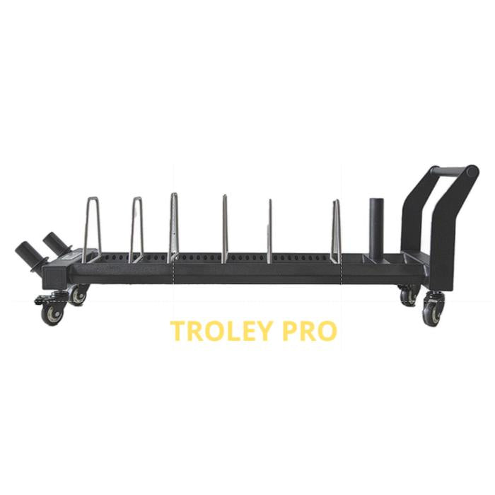 XMASTER Plate Storage Trolley Pro Stainless Steel Adjustable Holder 4 Roda Gym Komersial Crossfit - Trolley 2 Wheel