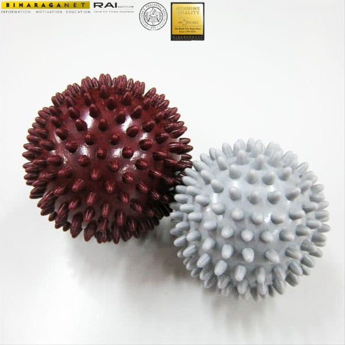 Kettler 121-000 Massage Ball - Grey Burgundy