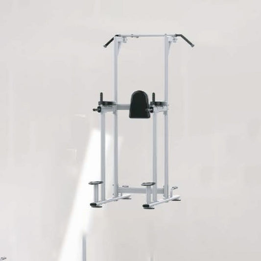 Dipping & Chin Up / Vertical Knee Raise Body Strong