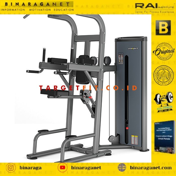 BINARAGANET INSIGHT EASY CHIN & DIP MACHINE DA008 / COMMERCIAL GRADE