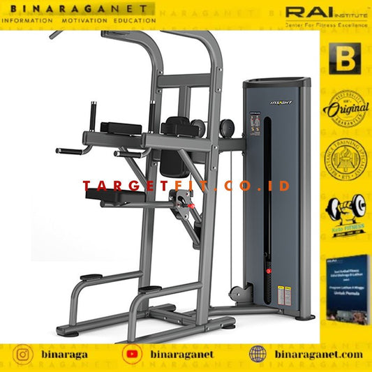 BINARAGANET INSIGHT EASY CHIN & DIP MACHINE DA008 / COMMERCIAL GRADE