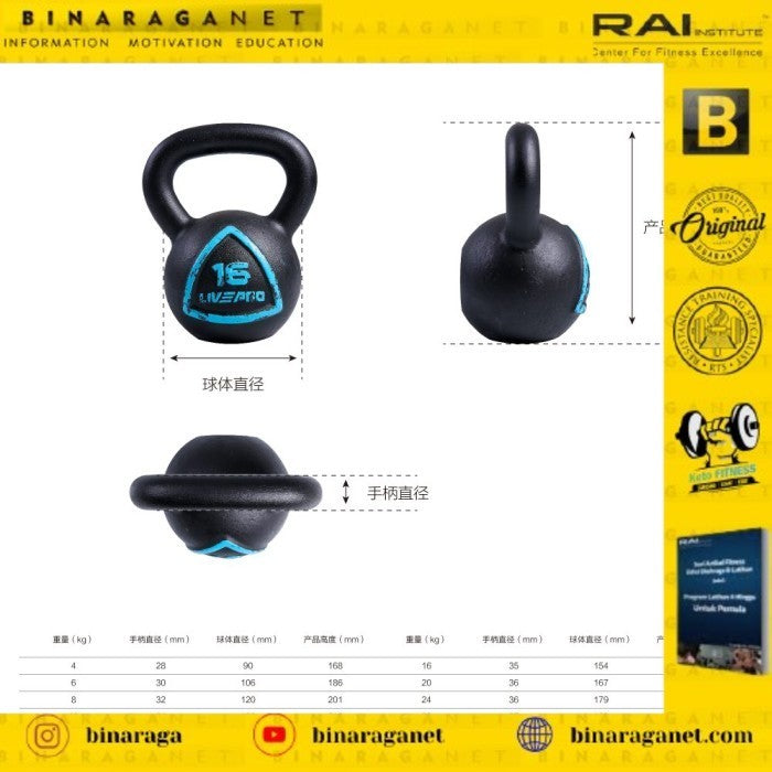 LIVEPRO CLASSIC KETTLEBELL LP8041