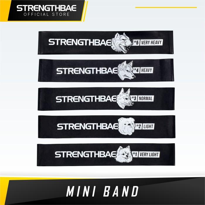 Mini Band & Hip Loop STRENGTHBAE Short Resistance Bands Glute Glutes - Husky (Heavy)