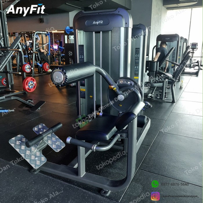 AnyFit PS06 Abdominal/ Back Extension