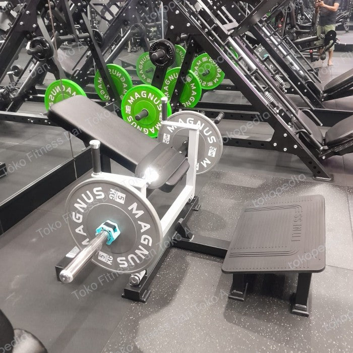 BRTW FITNESS Glude Mashine DZ30/ Fuctional /Gym / Fitness