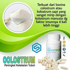 Synergy Colostrum 90 Kapsul