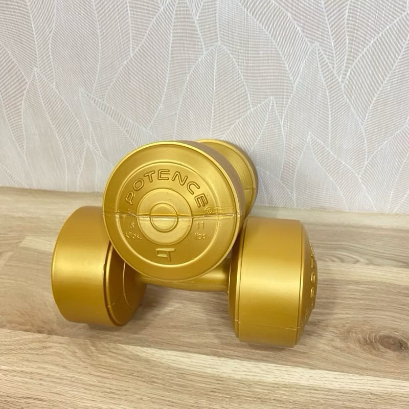 DUMBEL 5KG POTENCE / BARBEL 5 KG / DUMBELL PLASTIK 5KG