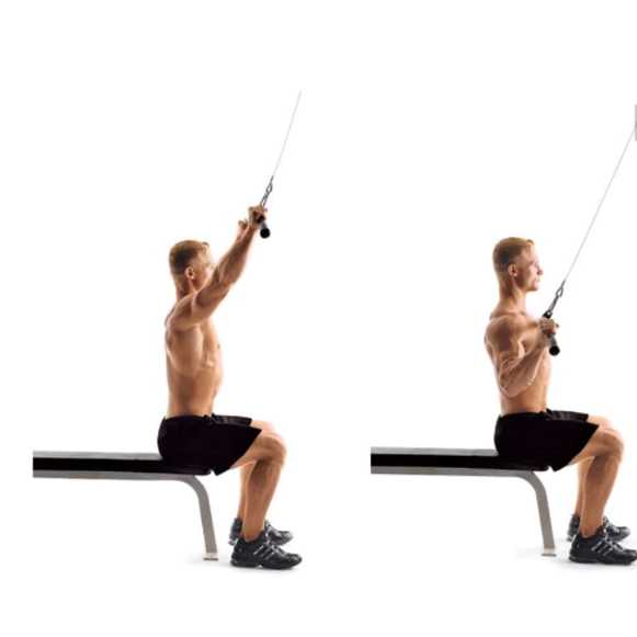 JBryant Katrol Fitness Gym DIY Pulley Cable Machine Arm Bicep 100kg - J3140