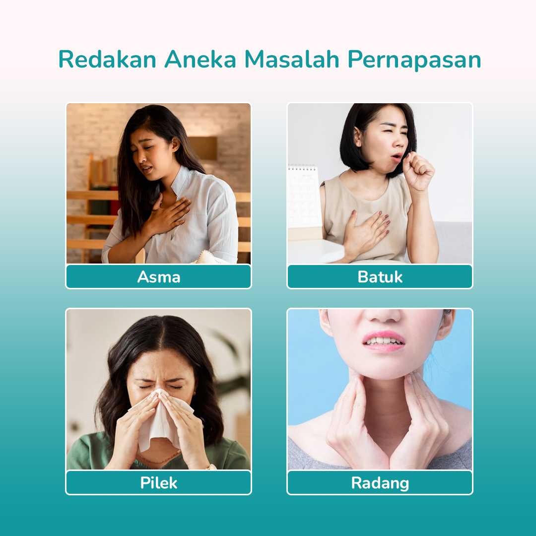 LEGGONG Alat Terapi Pernapasan Mesh Nebulizer Portable Inhaler - HSK-W005