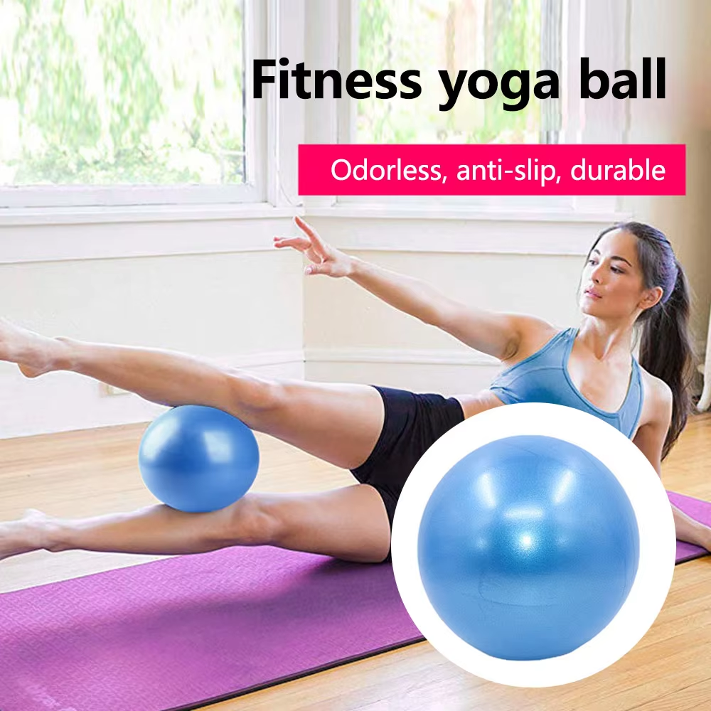 LIVELY Gym Ball Bola Yoga Pilates Fitness 25cm - H1H21