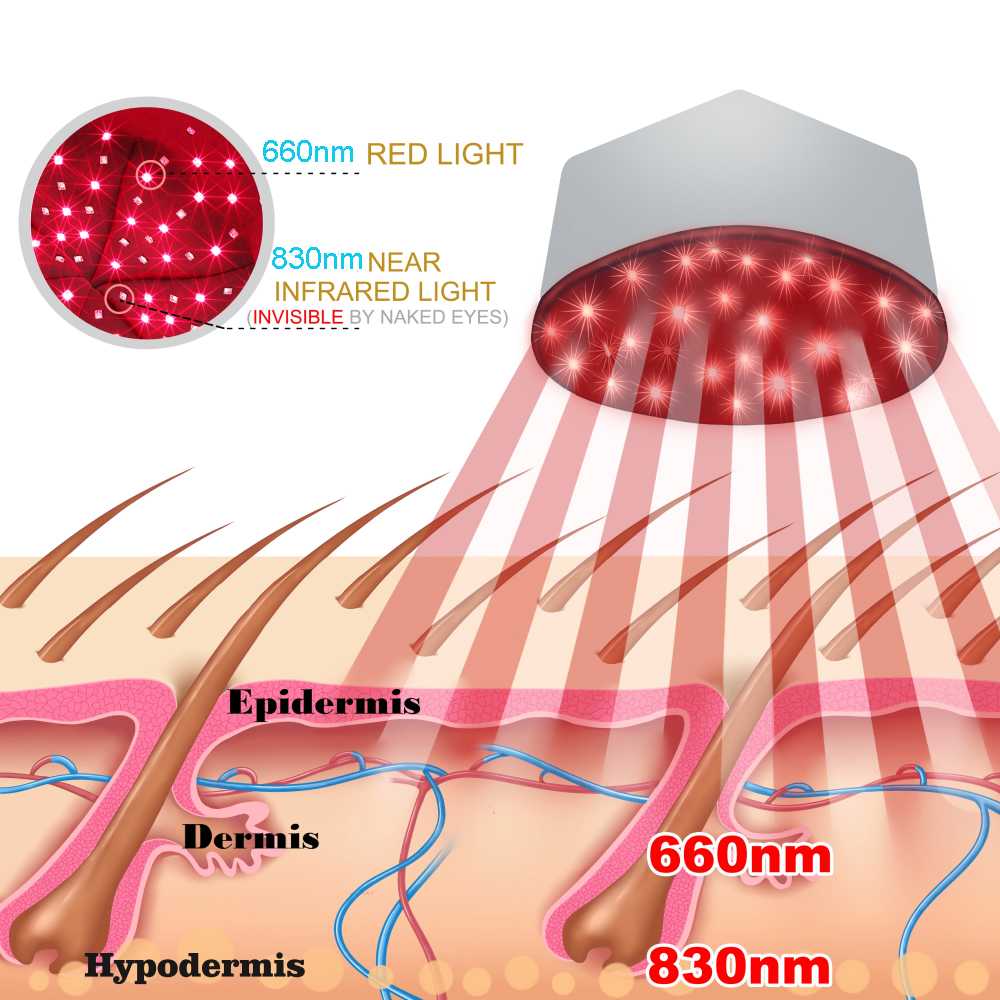 LOVTRAVEL Topi Terapi Rambut Infrared Hair Growth Therapy Cap 830nm - LT629