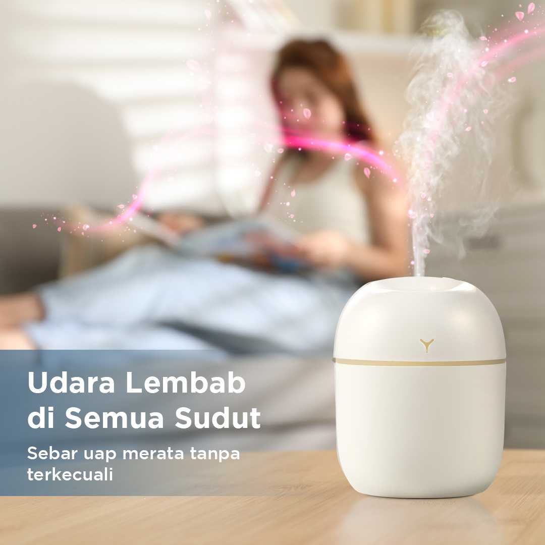 Vikatorry Air Humidifier Mini Car Home Ultrasonic Night Light 220ml - V25