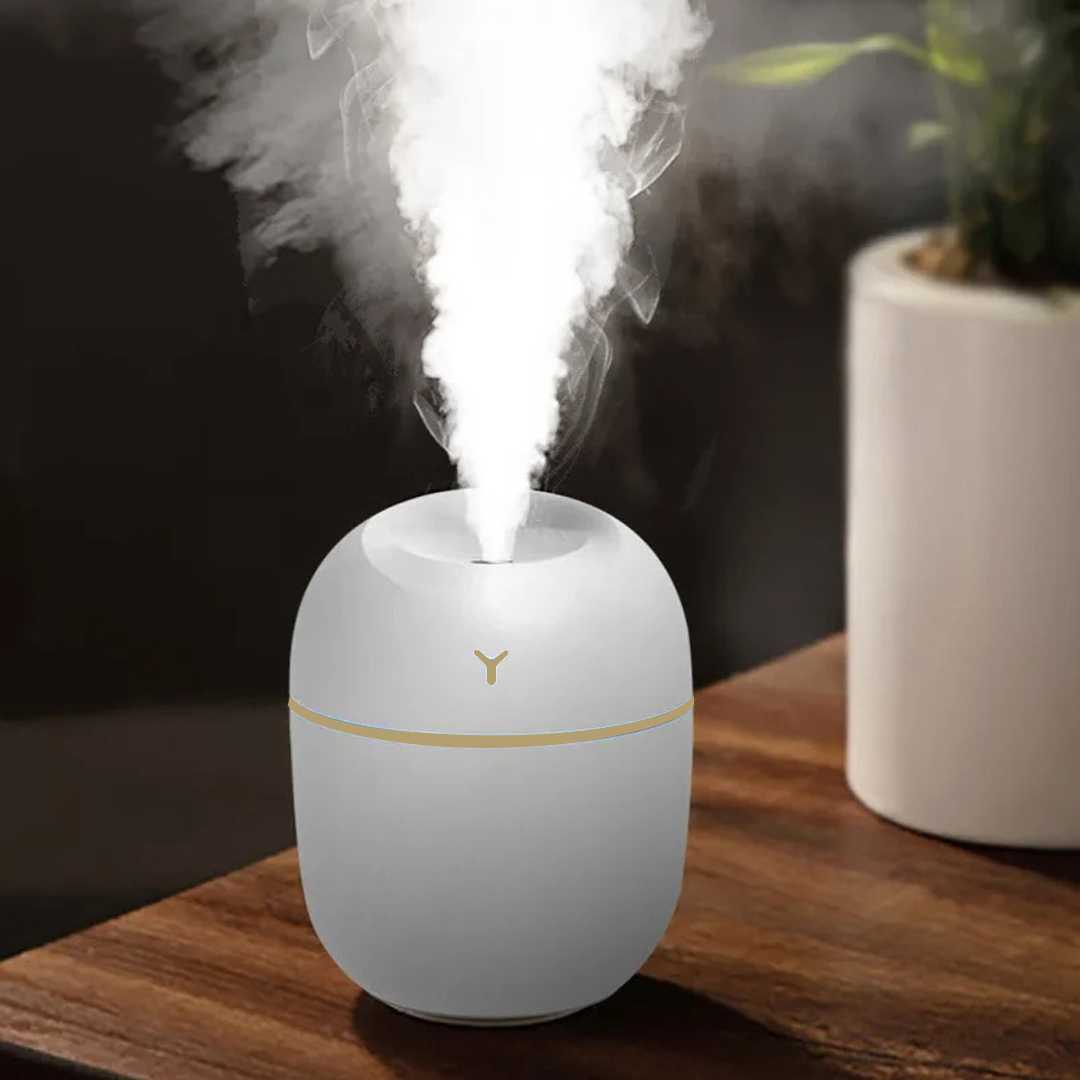 Vikatorry Air Humidifier Mini Car Home Ultrasonic Night Light 220ml - V25