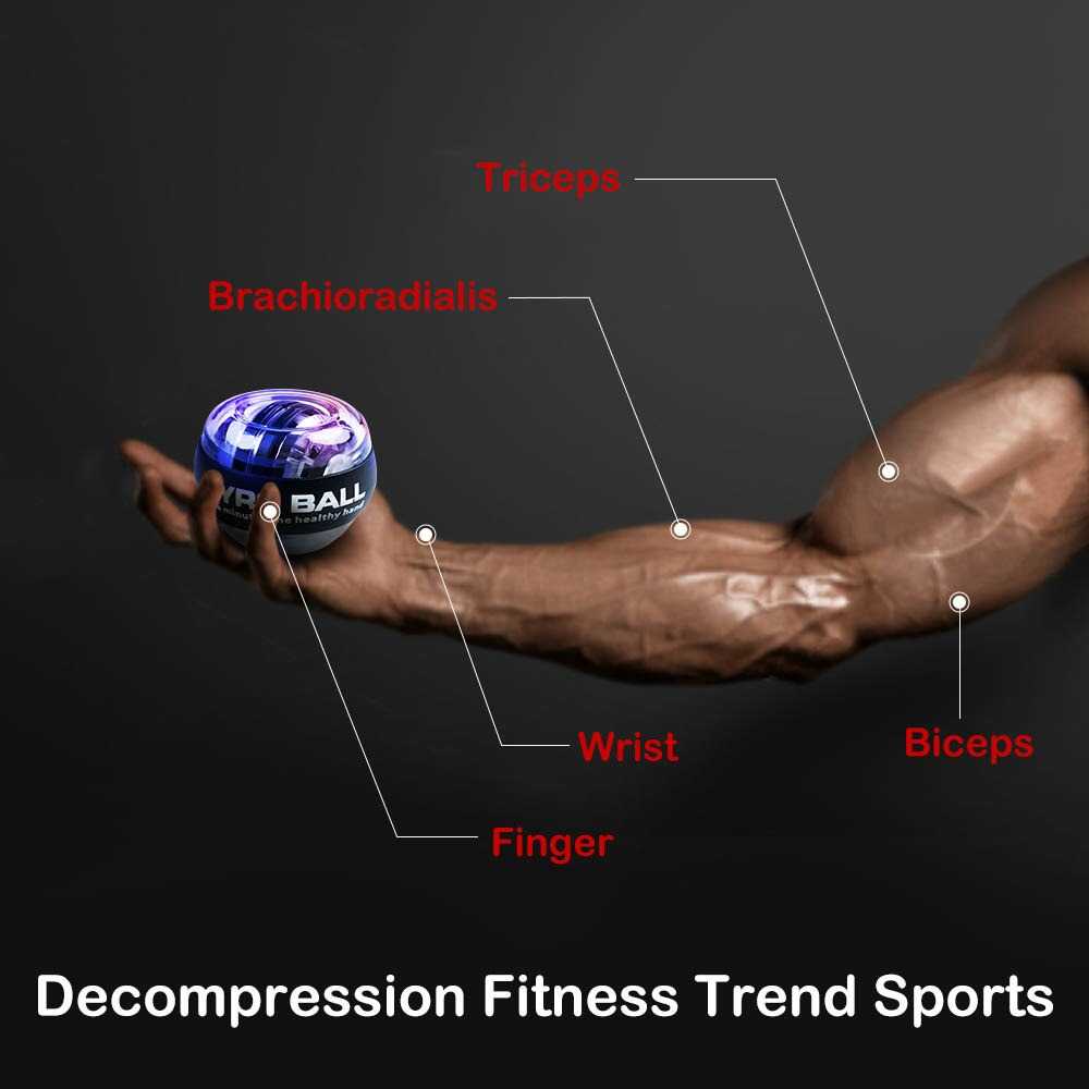 Yang Chen Alat Latihan Tangan Wrist Ball Gyro Spinner Exercise - OUT180